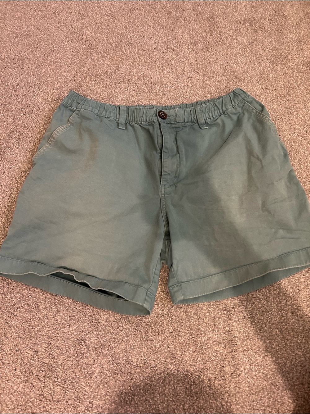 Chubbies Men's Teal Elastic-Waist Shorts